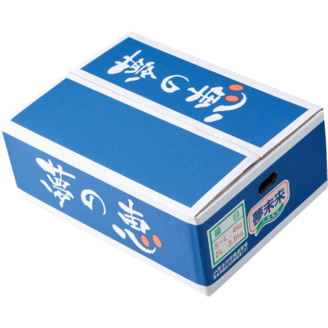 夢の恵』みかんMサイズ4kg | フィール ネットショッピング